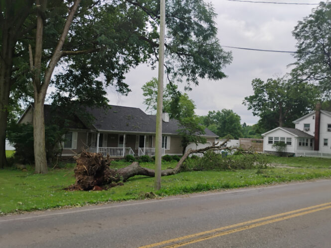 Storm cleanup continues in Canfield Township